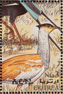 Arabian Bustard (Ardeotis arabs)